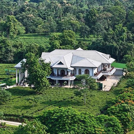 Vaani Greens Wildlife Resort, Kaziranga Kuthari Buitenkant foto